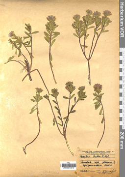 VOR 00012619