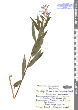 VOR 0014045