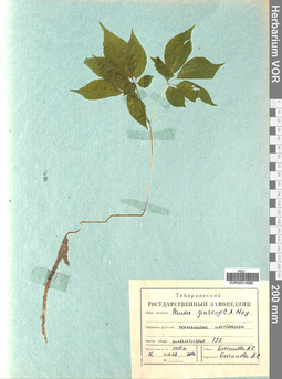 VOR 0014588