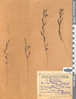 VOR 0016092