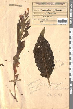 VOR 0016417