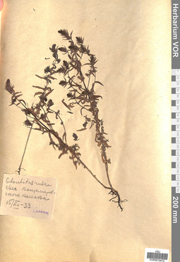 VOR 0019410