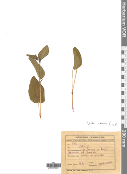 VOR 0012641