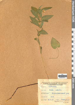 VOR 0013611