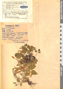 VOR 0013641