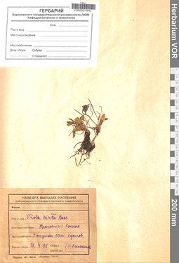 VOR 0013642