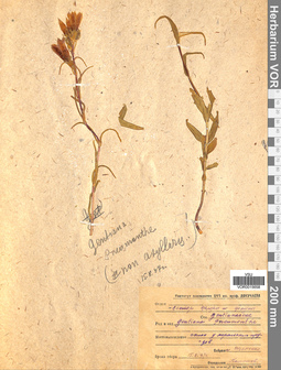 VOR 0015658