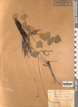 VOR 00014745