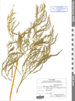 VOR 0026236