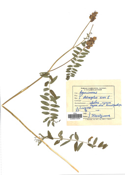 VOR 0010054