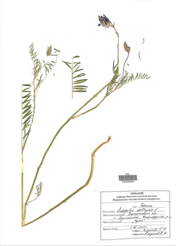 VOR 0009937