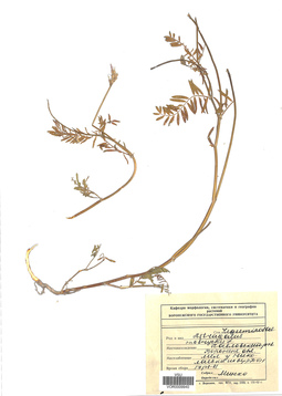 VOR 0009940