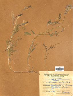 VOR 0009941