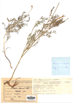 VOR 0009946