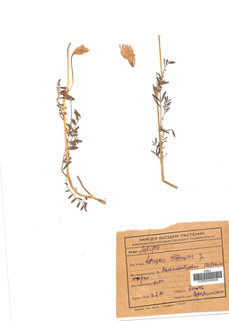 VOR 0009948