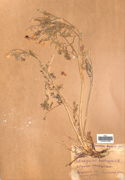 VOR 0010069