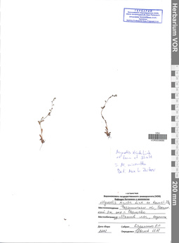 VOR 0039689