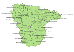 Orchis palustris Jacq. (Воронежская область, образцы Гербария VOR) (15.10.2021)