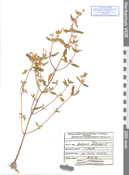 VOR 0018049