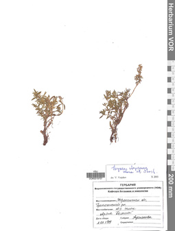 VOR 0019707