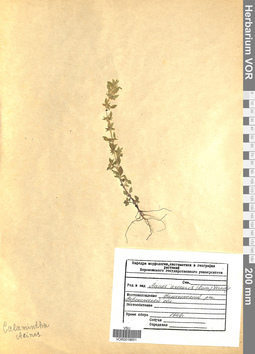 VOR 0018651
