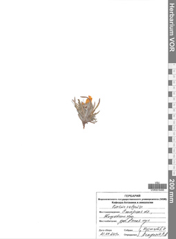 VOR 0016495