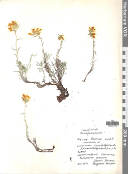 VOR 0017212