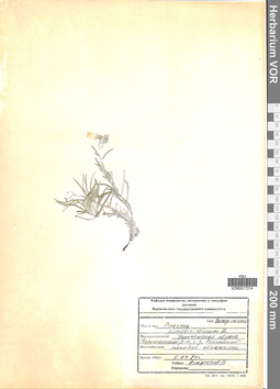 VOR 0017214