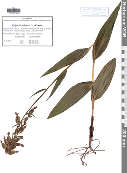 VOR 0041439