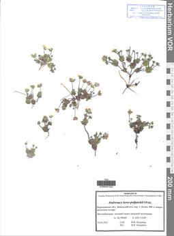 VOR 0041522