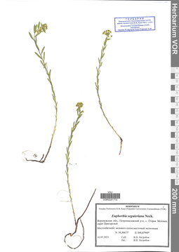 VOR 0041710