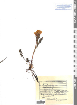 VOR 0019258