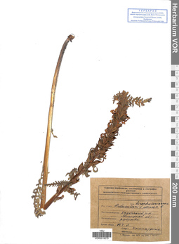VOR 0019275