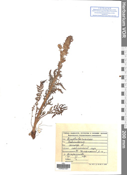 VOR 0021401