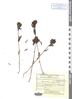 VOR 0019472
