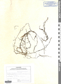 VOR 0019193