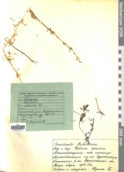 VOR 0020079