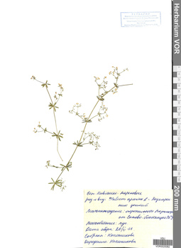 VOR 0020082