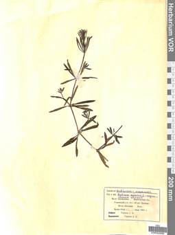 VOR 0020085