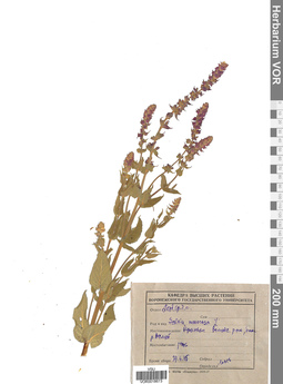 VOR 0018673