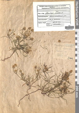VOR 0019228