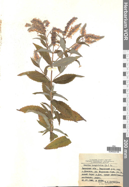 VOR 0020198