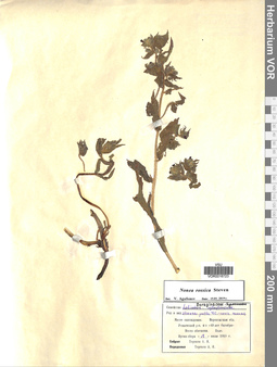 VOR 0016723