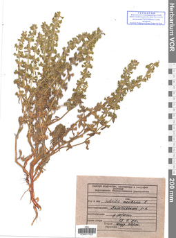 VOR 0017623