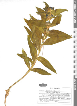 VOR 0022034