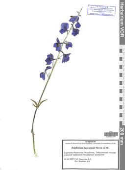 VOR 0042480