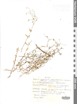 VOR 0006457