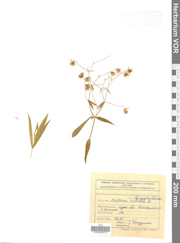 VOR 0006774