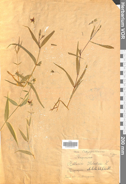 VOR 0006791