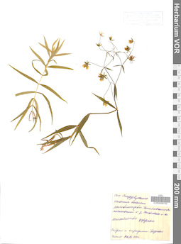 VOR 0006792